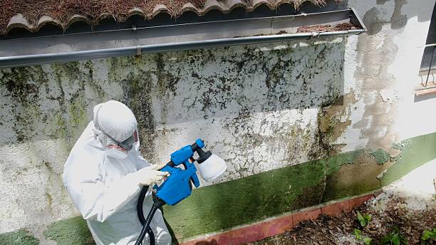 Top rated local Mold Remediation specialists in Newburg, PA